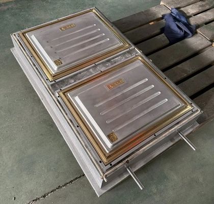 ABS / PA66 / PP / PC / PMMA Пластиковая вакуумная дверная форма